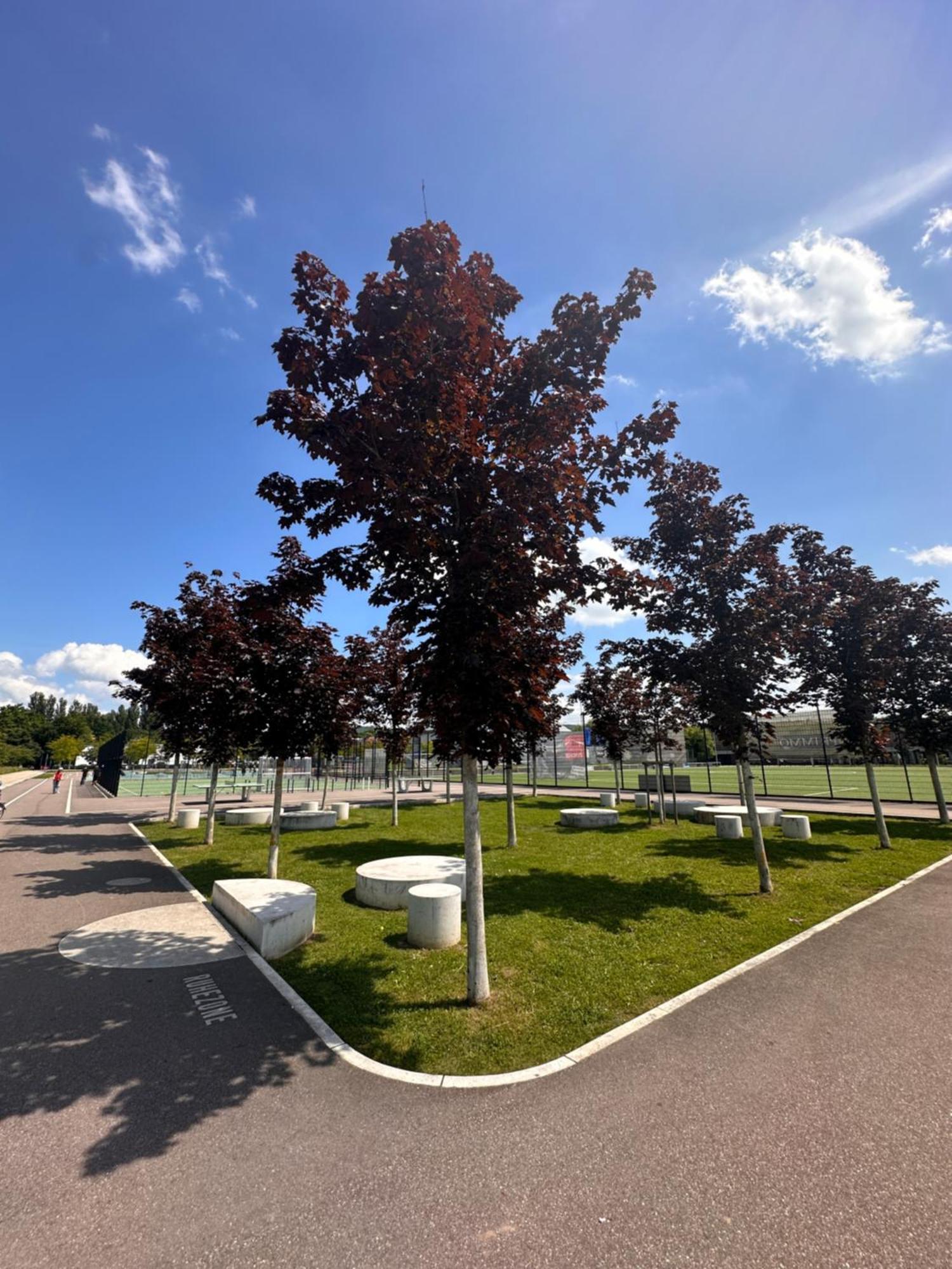 Apartment Amao-brown I Exklusives City-apartment I 85qm I Privatparkplatz & Komfort I King-size Bed *