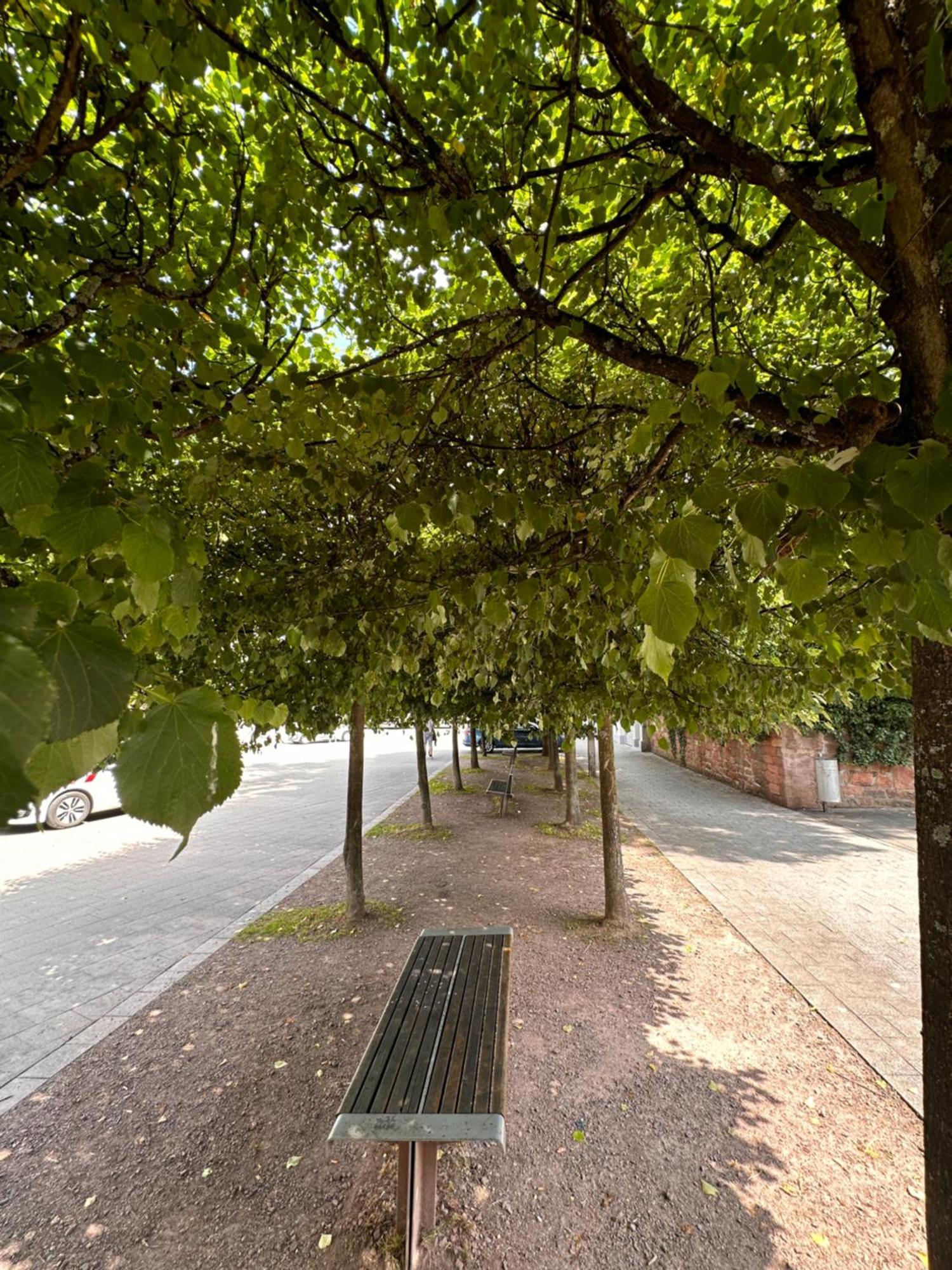 Amao-brown I Exklusives City-apartment I 85qm I Privatparkplatz & Komfort I King-size Bed * Lahr (Baden-Wurttemberg)